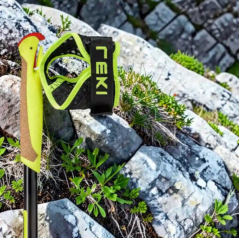 bastones leki evo trail dragonera